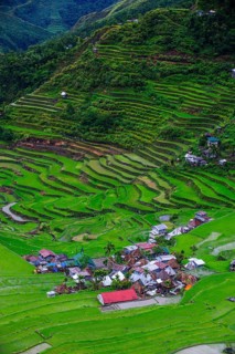 Batad rice terraces