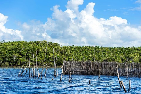 Fish traps in the Canal des Pangalanes