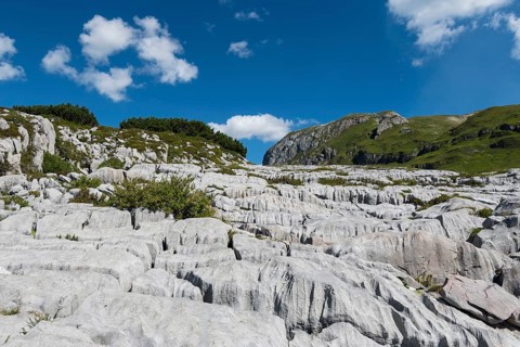 Weathered rocks