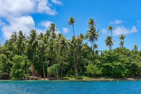 Palm beach on Raiatea