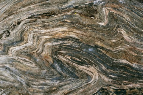 Driftwood