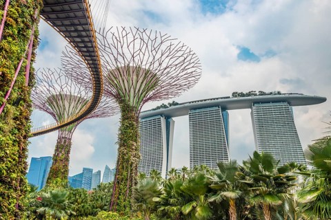 Supertrees