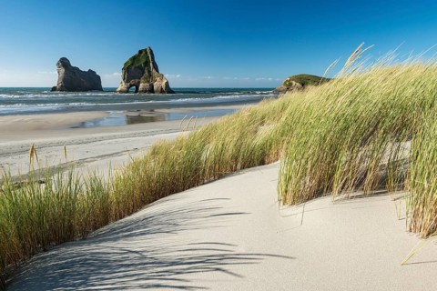 Grassy dune rock island Wharariki Beach