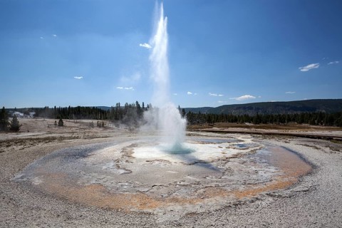 Sawmill Geyser