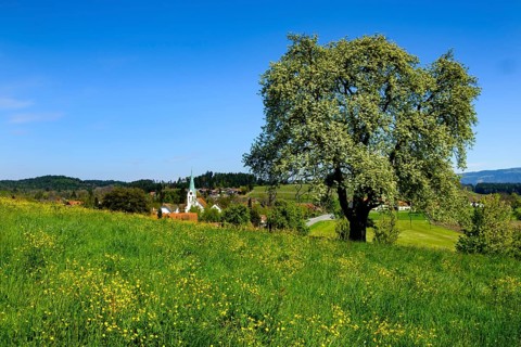Oberreitnau with parish church of St. Pelagius