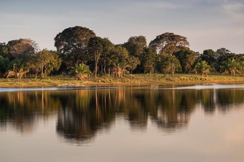 Landscape in the southern Pantanal
