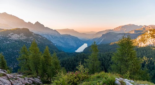 Panorama