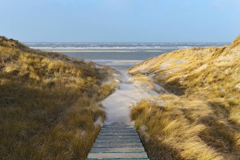 Sandy boardwalk on the dunes