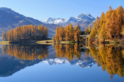 Lake Champferersee with autumnal discoloured larch forest