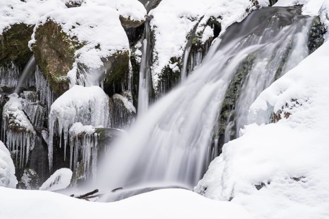 Myra Falls
