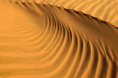 Sand ripples in the sanddunes of Al Khaluf desert