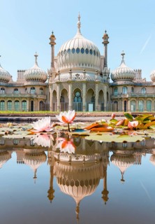 Water lilies in a pond in front of Royal Pavilion Palace