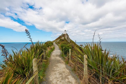 Lighthouse at Nugget Point