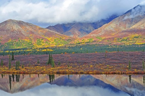 Colorful autumn landscape