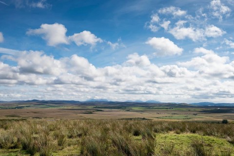 Grass landscape on the Isle of Islay