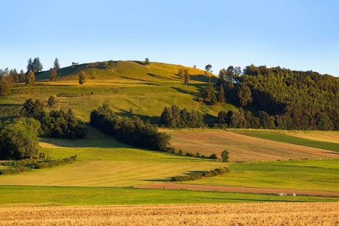 Gelber Berg