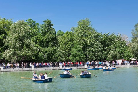 Rowing boats on the lake Estanque del Retiro