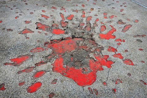 Sarajevo Roses