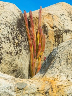 National park Ayc Rock