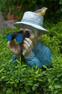 Figure with bird on hat and binoculars looking over a hedge