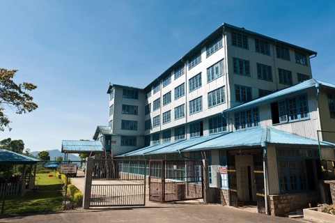 Blue Field Tea Factory Building
