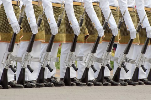Royal guards with guns