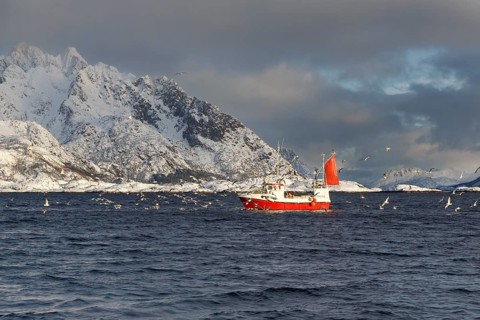Fishing boat in front of snow-covered mountains