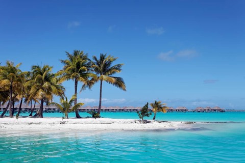 Small peninsula with coconut palms in the turquoise sea