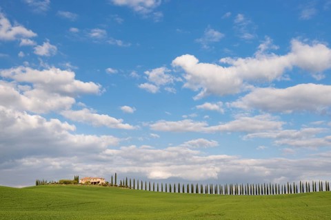 Country estate Poggio Covili with road lined with cypress trees