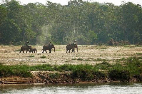 Morning elephant ride on the Rapti River