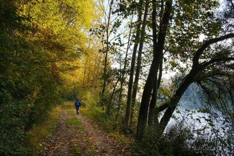 Woman on a hiking trail on the Isar