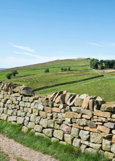 Hadrian's Wall at Haltwhistle