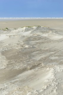 Foredunes with sand drifts