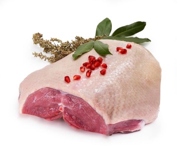 Raw goose breast