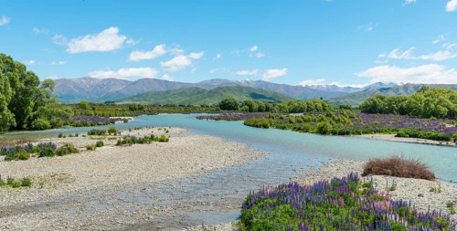 River bed of the Ahuriri River