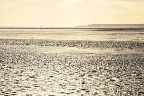 Wadden Sea with island Fohr on the horizon