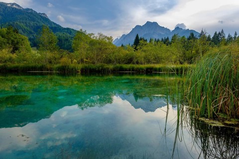 Sava Dolinka spring