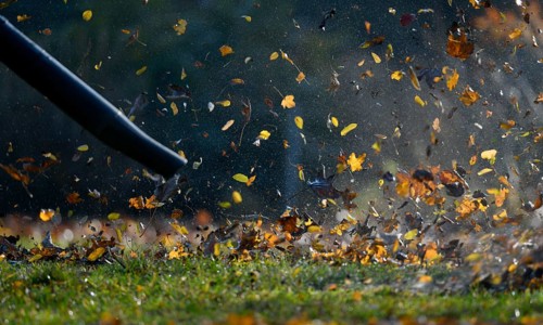 Leaf blower blows autumn leaves