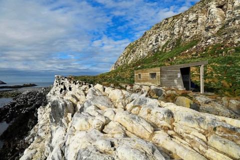 Bird hut