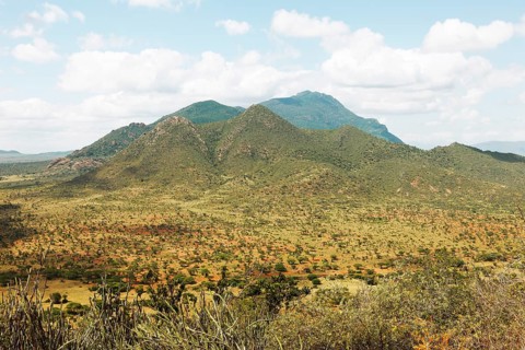 Ngulia Hills