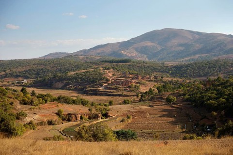 Mountainous landscape