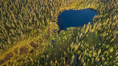 Drone shot
