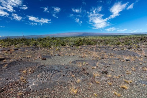 Pahoehoe lava from Kilauea volcano eruptions
