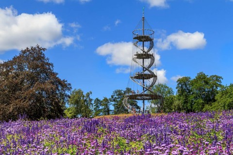 Killesberg tower