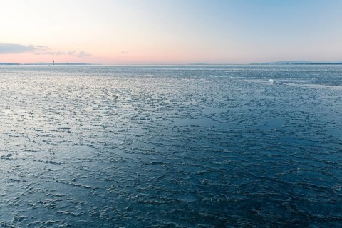 Ice on the shore of Lake Constance on a winter evening