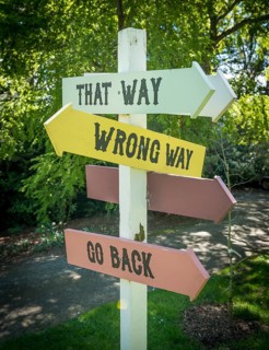 Curios sign post
