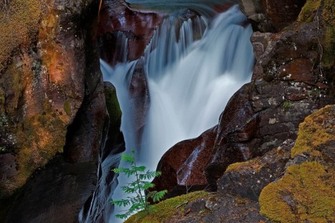 Wild creek