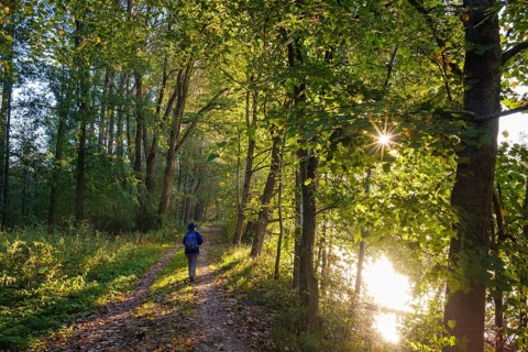 Woman on hiking trail on the Isar