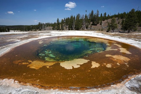 Beauty Pool