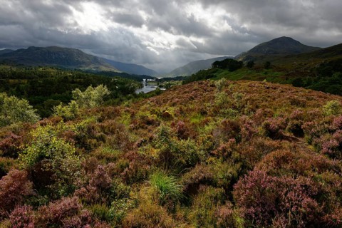 Lake Loch Affric